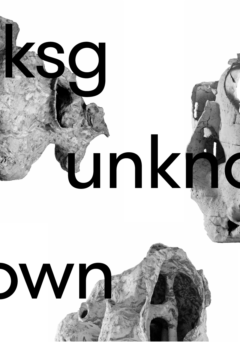 ksg unknown