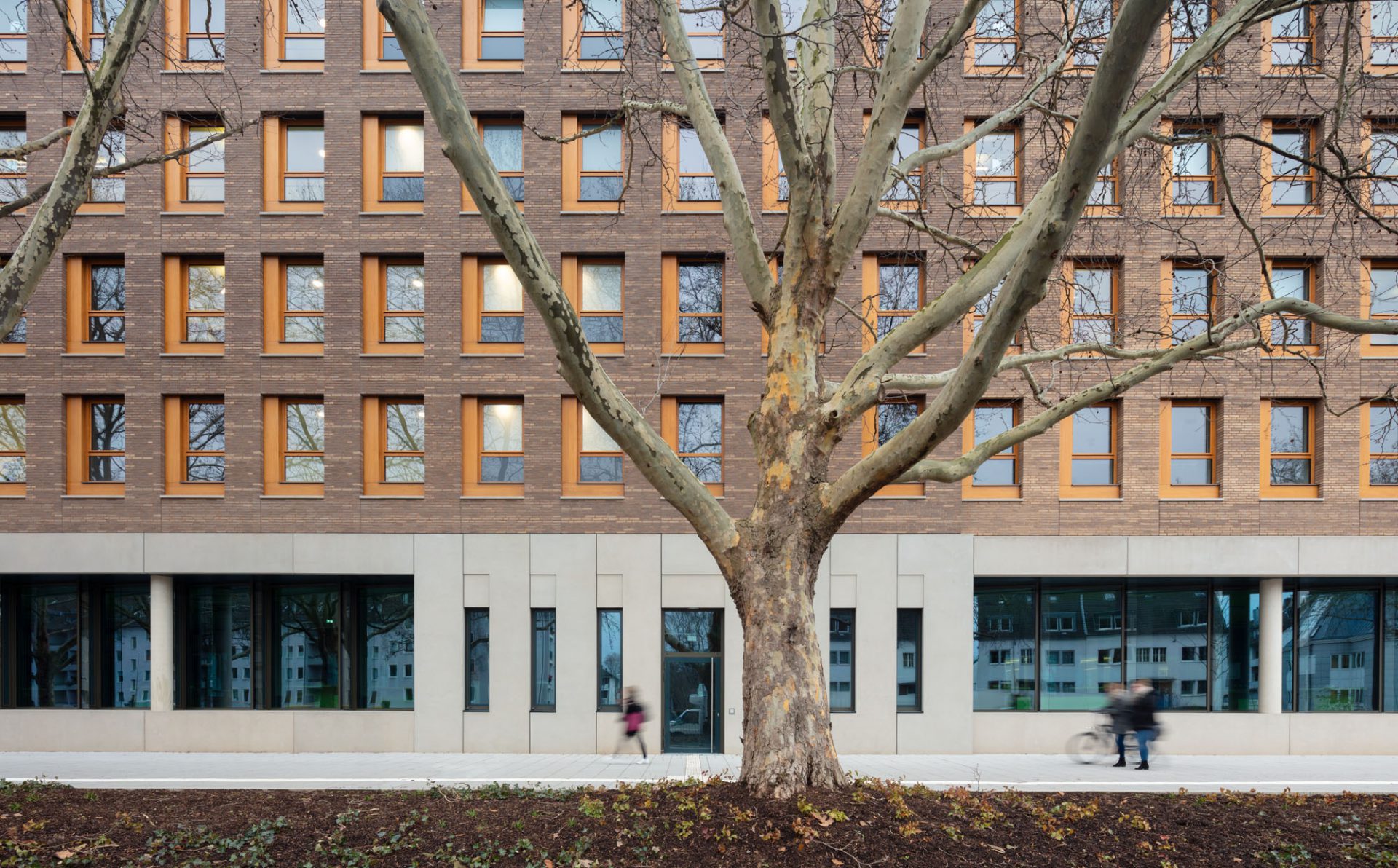 Die Universität zu Köln beauftragt ksg mit der Erweiterung der an der Universitätsstraße gelegenen WiSo-Fakultät in Form eines fünfgeschossigen Anbaus an das denkmalgeschützte Riphahn-Gebäude.